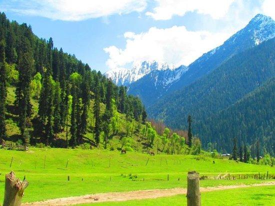 Pahalgam Golf Course